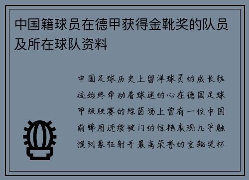 中国籍球员在德甲获得金靴奖的队员及所在球队资料