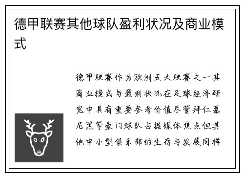 德甲联赛其他球队盈利状况及商业模式