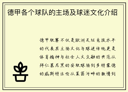 德甲各个球队的主场及球迷文化介绍